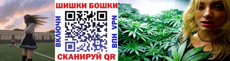 купить Луга Бошки Шишки марихуана